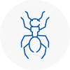 Ant Removals In Bewdley