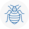 Bed Bug Extermination In Bewdley