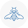 Bee Nest Removal Bewdley