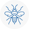 Bewdley Hornet Nest Removals