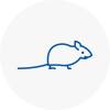Mice Exterminators In Bewdley