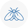 Moth Control Specialists In Bewdley