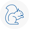 Bewdley Rodent Removals